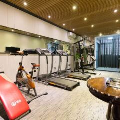 Hongmayi Theme Hotel Xinxiang Qingchun Jiyi фитнесс-зал фото 4