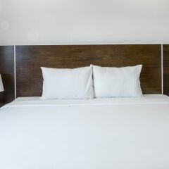 Red Coral Ha Long Hotel комната для гостей