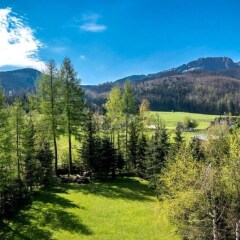 Отель Tatrovia Widokowe Apartamenty Закопане фото 4