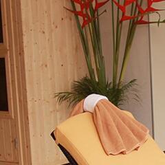 Poseidon Hotel сауна