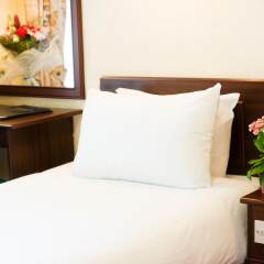 Отель Bayswater Inn удобства в номере фото 2