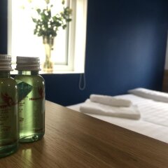 Himalaya Phoenix Hotel - Hostel Далат удобства в номере