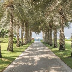 Отель Coral Beach Resort - Sharjah ОАЭ, Шарджа - 8 отзывов об отеле, цены и фото номеров - забронировать отель Coral Beach Resort - Sharjah онлайн приотельная территория фото 2