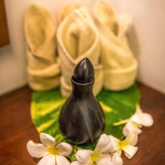 Отель The Kala с домашними животными