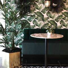 Отель ibis Styles Amsterdam Airport (new) Нидерланды, Схипхол - 2 отзыва об отеле, цены и фото номеров - забронировать отель ibis Styles Amsterdam Airport (new) онлайн фото 4