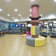 Sarikonak Boutique & SPA Hotel Турция, Амасья - отзывы, цены и фото номеров - забронировать отель Sarikonak Boutique & SPA Hotel онлайн фитнесс-зал