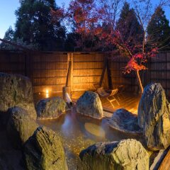 Отель Ryokan Hanagokoro Минамиогуни