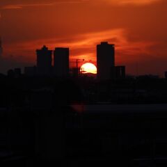 Отель Suites Chapultepec Мексика, Гвадалахара - отзывы, цены и фото номеров - забронировать отель Suites Chapultepec онлайн фото 7