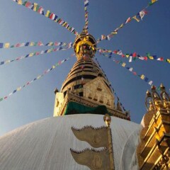 Отель Swayambhu Peace Zone Hotel Непал, Катманду - отзывы, цены и фото номеров - забронировать отель Swayambhu Peace Zone Hotel онлайн приотельная территория