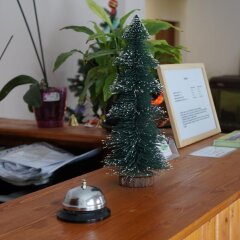 Family Hotel Krisbo Арбанаси интерьер отеля
