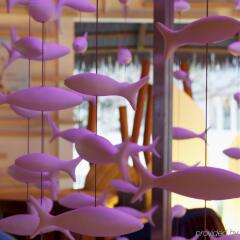 Отель Centara Ras Fushi Resort & Spa Maldives детские мероприятия