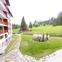 Отель Forest Nook Болгария, Пампорово - отзывы, цены и фото номеров - забронировать отель Forest Nook онлайн фото 7