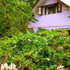 Отель Te Ora Hau Ecolodge Французская Полинезия, Папеэте - отзывы, цены и фото номеров - забронировать отель Te Ora Hau Ecolodge онлайн фото 2