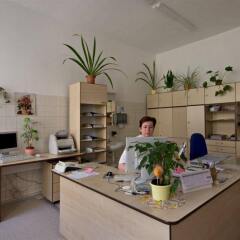 Отель Spa Hotel Goethe Чехия, Франтишкови-Лазне - отзывы, цены и фото номеров - забронировать отель Spa Hotel Goethe онлайн спа