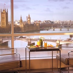 Отель Park Plaza Riverbank London балкон