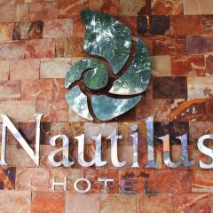 Отель Nautilus Мексика, Плая-дель-Кармен - отзывы, цены и фото номеров - забронировать отель Nautilus онлайн бассейн
