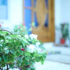 Moodhu Surf House in North Male Atoll, Maldives from 61$, photos, reviews - zenhotels.com hotel interior