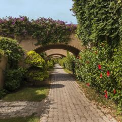 Spice Hotel & Spa Турция, Белек - 2 отзыва об отеле, цены и фото номеров - забронировать отель Spice Hotel & Spa онлайн фото 5