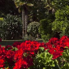 Hotel Miramare Чивитанова-Марке фото 2