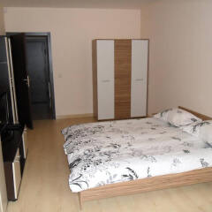 Отель Central & South Park Apartments Болгария, София - отзывы, цены и фото номеров - забронировать отель Central & South Park Apartments онлайн комната для гостей фото 4