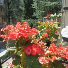 Отель Casa Patavina Италия, Падуя - отзывы, цены и фото номеров - забронировать отель Casa Patavina онлайн
