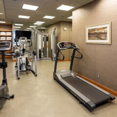 Отель Holiday Inn Express Vancouver-Metrotown (Burnaby) Канада, Бурнаби - отзывы, цены и фото номеров - забронировать отель Holiday Inn Express Vancouver-Metrotown (Burnaby) онлайн фитнесс-зал фото 3