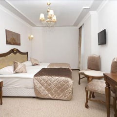 Antis Hotel - Special Class Турция, Стамбул - 12 отзывов об отеле, цены и фото номеров - забронировать отель Antis Hotel - Special Class онлайн фото 2