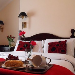 Отель Townhouse Dublin в номере