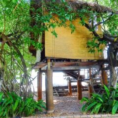 Отель Amagi Lagoon Resort & Spa Шри-Ланка, Негомбо - 1 отзыв об отеле, цены и фото номеров - забронировать отель Amagi Lagoon Resort & Spa онлайн