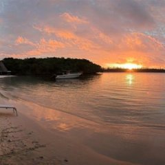 Oure Lodge Beach Resort in Isle of Pines, New Caledonia from 290$, photos, reviews - zenhotels.com photo 8