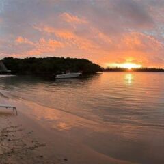 Oure Lodge Beach Resort in Isle of Pines, New Caledonia from 285$, photos, reviews - zenhotels.com photo 8