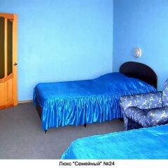 Отель Гвоздика Бийск комната для гостей фото 3