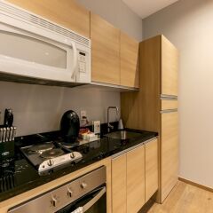 Отель Amazing Luxury 2BR Apt. in Polanco Мехико фото 2