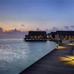 Отель Gangehi Island Resort фото 4