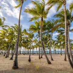 Отель Playabachata Resort пляж фото 4