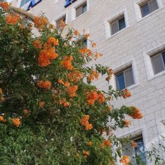 Ankars Suites & Hotel in Ramallah, State of Palestine from 209$, photos, reviews - zenhotels.com photo 8
