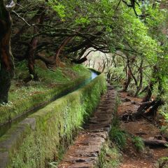 Отель Madeira Regency Cliff Португалия, Фуншал - отзывы, цены и фото номеров - забронировать отель Madeira Regency Cliff онлайн приотельная территория