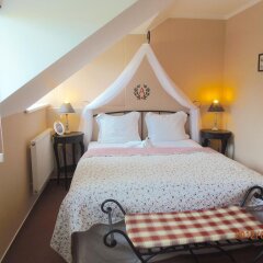 Hotel Amalka Страшков комната для гостей