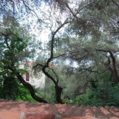 Отель Elena Guest House Пржно спортивное сооружение