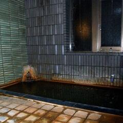 Отель Ebisuya (Hijiori Onsen) Синдзё ванная