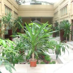 Ding Fu Hotel Guangzhou