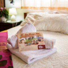 Loui Hotel Израиль, Хайфа - отзывы, цены и фото номеров - забронировать отель Loui Hotel онлайн с домашними животными