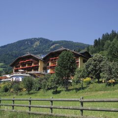 Отель Naturhotel Alpenrose Австрия, Мильстат - отзывы, цены и фото номеров - забронировать отель Naturhotel Alpenrose онлайн фото 6