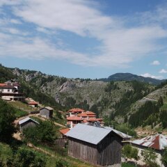 Отель Kristal Guest House Чепеларе фото 3