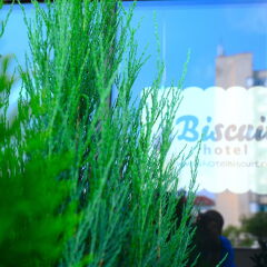 Hotel Biscuit фото 2