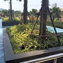 Отель The Trust Condo South Pattaya Таиланд, Паттайя - отзывы, цены и фото номеров - забронировать отель The Trust Condo South Pattaya онлайн развлечения