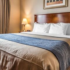 Отель Comfort Inn At LaGuardia Airport США, Нью-Йорк - отзывы, цены и фото номеров - забронировать отель Comfort Inn At LaGuardia Airport онлайн комната для гостей фото 5