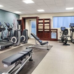 Отель The Westin Lagunamar Ocean Resort Villas, Cancun Мексика, Канкун - отзывы, цены и фото номеров - забронировать отель The Westin Lagunamar Ocean Resort Villas, Cancun онлайн фитнесс-зал фото 2