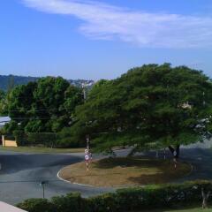 Lion's Pride - Hostel