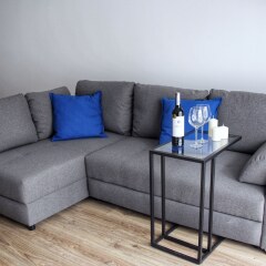 Отель Apartament Polanka Польша, Познань - отзывы, цены и фото номеров - забронировать отель Apartament Polanka онлайн комната для гостей фото 2